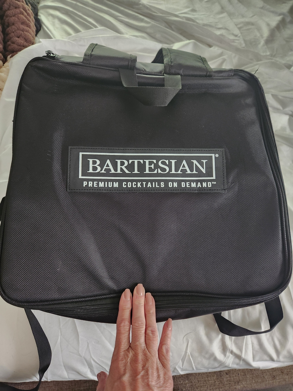 Bartesian Insulated Black Travel Backpack